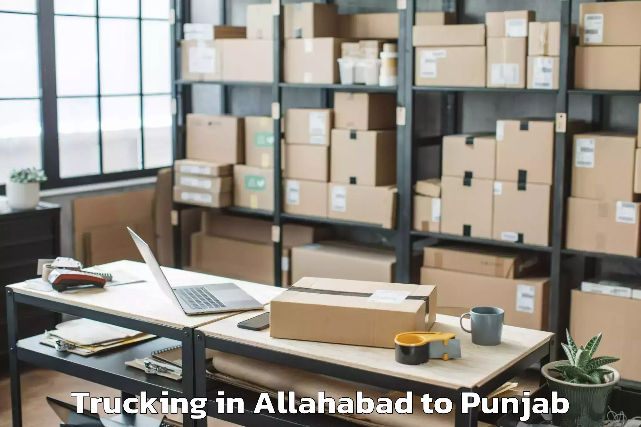 Professional Allahabad to Darak Trucking